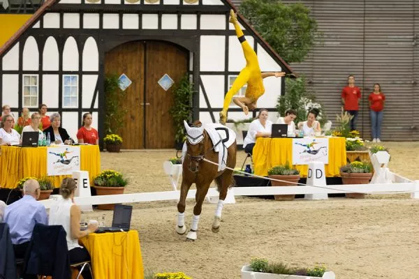 DMV-Voltigieren_Julia-Sophia-Wagner_Foto-Fellner