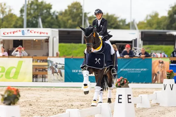 Hannoveraner_Championate_Manolo_Fellner