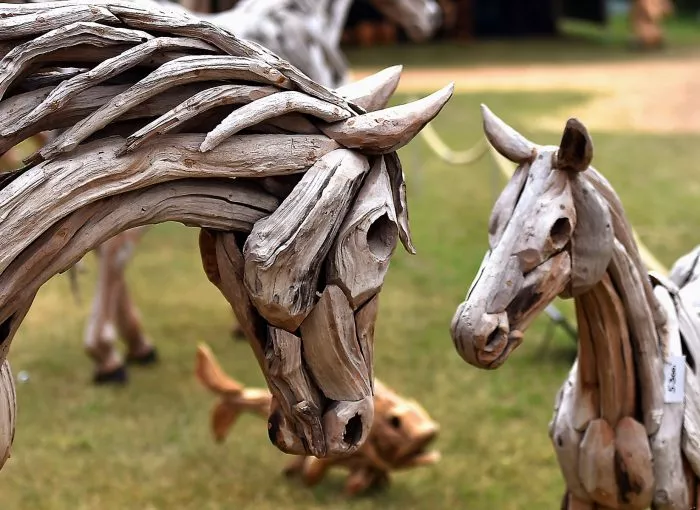 pVerd-event_Impression4_WM-der-jungen-Dressurpferde